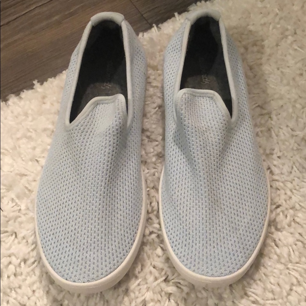 Allbirds Tree Loungers